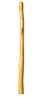 Medium Size Natural Finish Didgeridoo (TW1655)